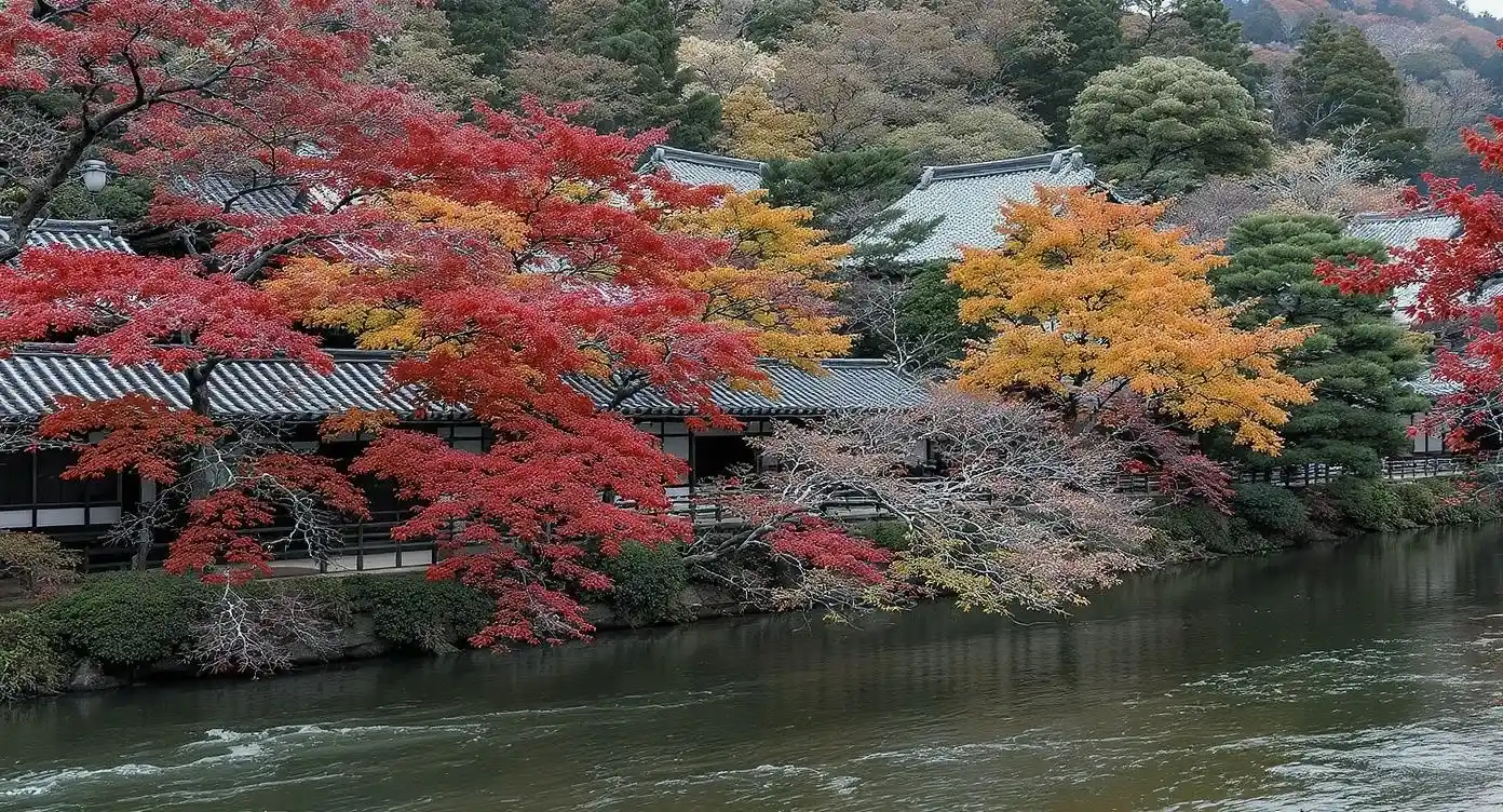 京都の鴨川と琴の音